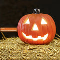 Spooky LED Halloween pumpkin lantern that lights up