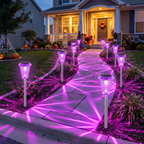 Purple solar Halloween pathway lights lining a path to a decorated house at dusk