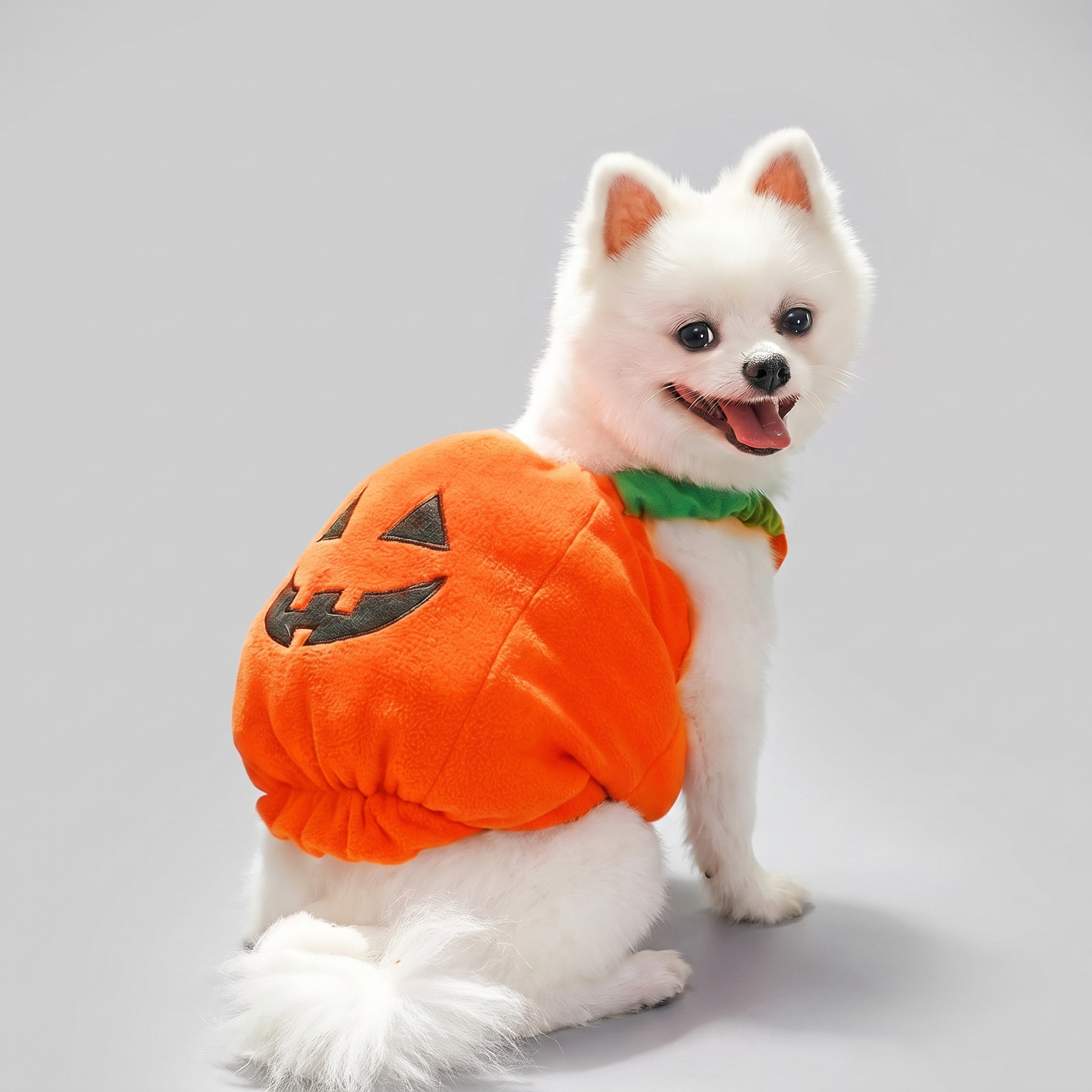 Plush pumpkin dog costume shown on a happy dog