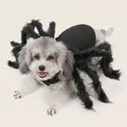 Black spider legs dog costume shown on a happy dog