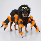 Plush Spider Pup dog costume shown on a happy dog