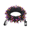Halloween String Lights 33ft - white background