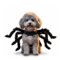 Dog spider harness costume on white