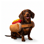 Dog hot dog costume on white
