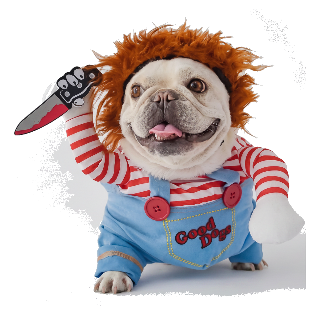 Dog deadly doll costume on white