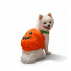 Plush pumpkin dog costume on white